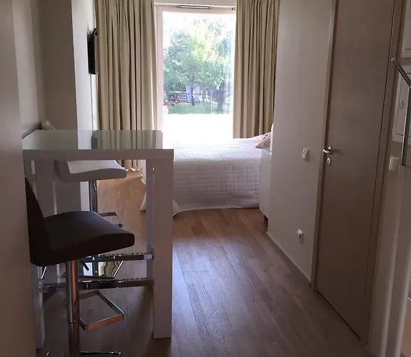 Apartman Paernu Apartment *